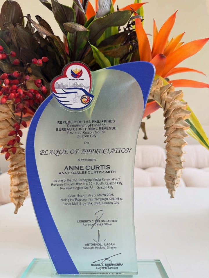 anne curtis taxpayer plaque