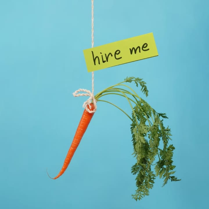 carrot with a sign saying "hire me" tied to stalk