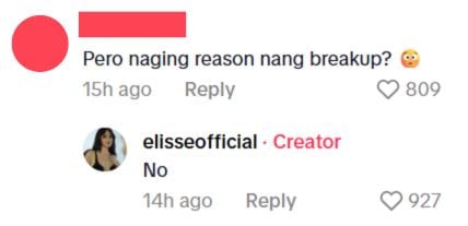 elisse joson replies to tiktok comment on the reason for her breakup with mccoy