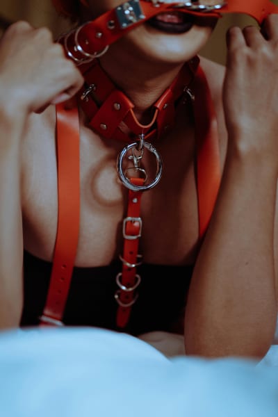 bdsm