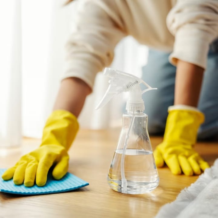 how to avoid hantavirus