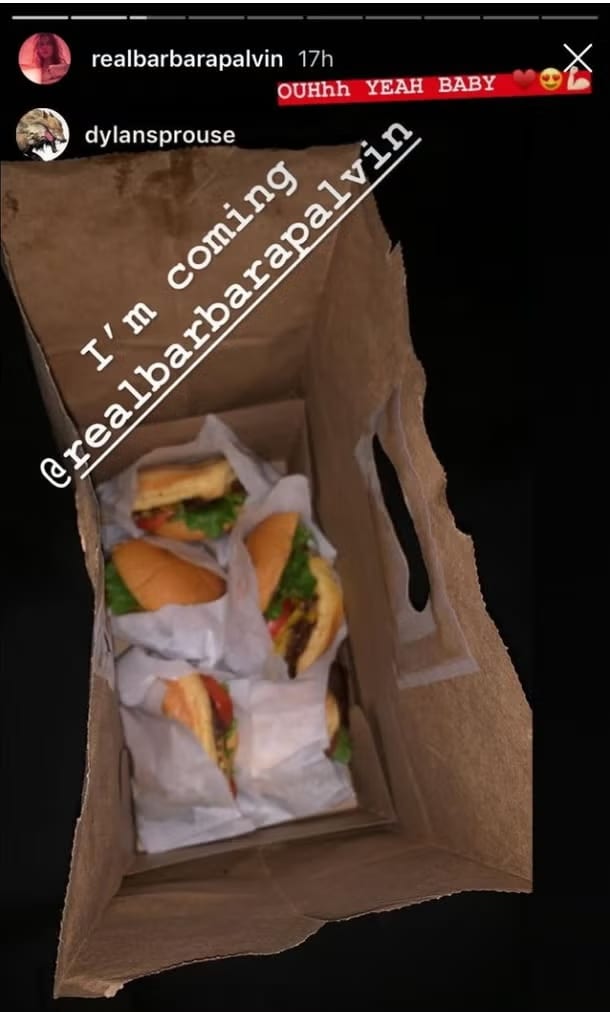 a screenshot of Barbara Palvin's Instagram Story on shake shack burgers