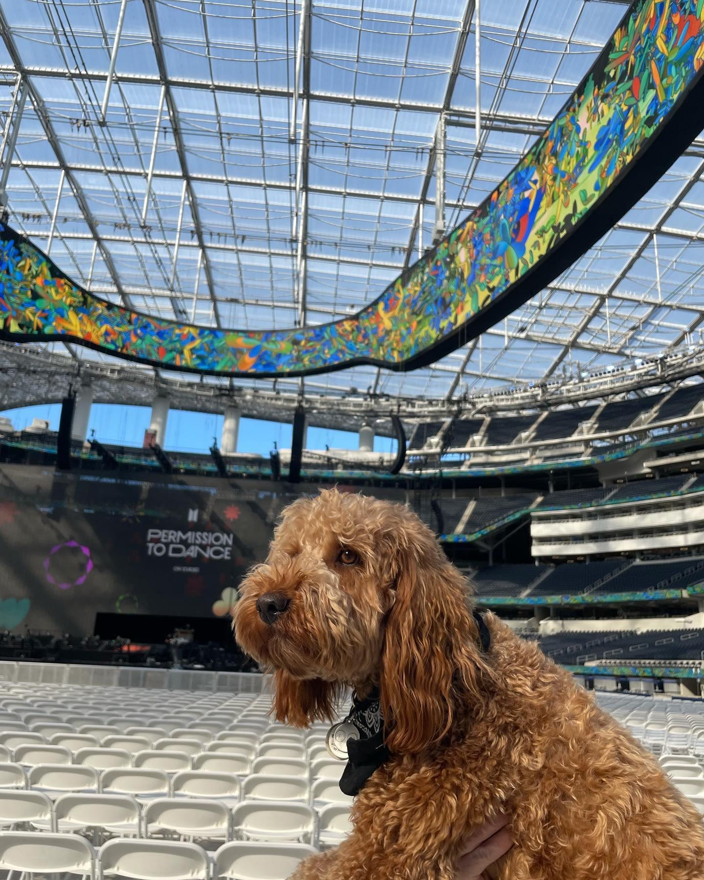 stoney blue the dood at bts permission to dance 2021