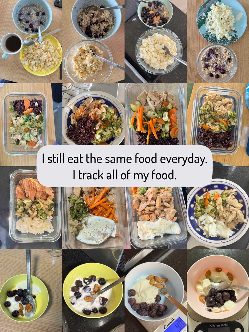 megan young food calorie tracking