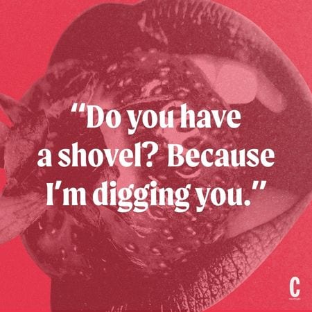 do you have a shovel, because i'm digging you
